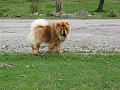 20040830_ 009